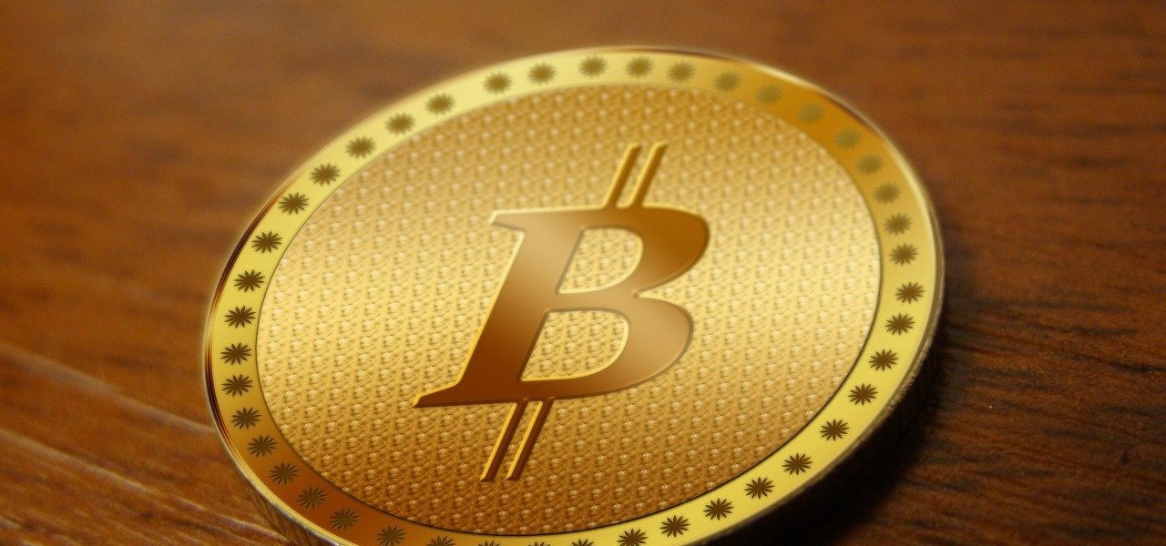 bitcoin, coin, money, electronic money, currency, internet, transfer, cash, monetary units, transaction, stock exchange, online exchange, gold, golden, tablet, woman, trade, cryptocurrency, crypto currency, hand, keep, circuit board, trace, circuits, chip, connections, data, management, distributor, riser board, map, electronics, printed circuit board, computer, bitcoin, bitcoin, bitcoin, bitcoin, bitcoin, cryptocurrency, cryptocurrency, cryptocurrency, cryptocurrency